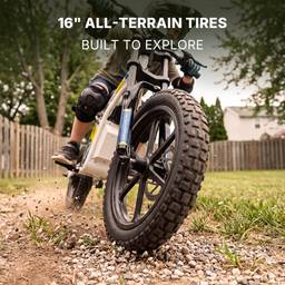 Windhorse P6 Electric Dirt Bike - 250W 36V 10Ah - Black - Image 7 (thumbnail)