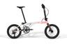 Peach Blossom Carbon Fork