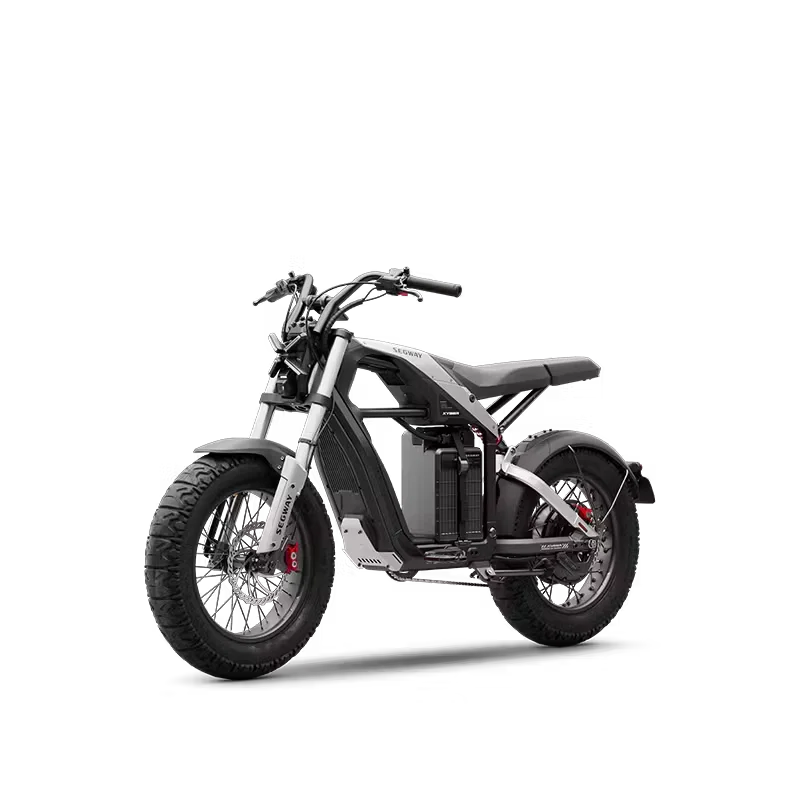 Segway ninebot Xyber Electric Bike (Single Battery Version) - Electric scooter product image