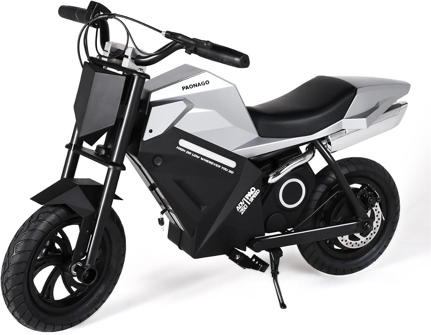 Paonago Adv 250 Grey 25 2v 5 2ah 250w Paonago ADV 250 - 250W 25.2V 5.2Ah - Grey - Image 2
