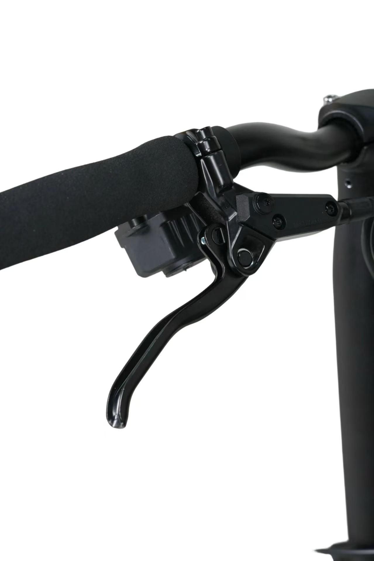 Java Neo12 Titanium JAVA NEO 12-Speed E-Shifter Triple-Fold Bike - 16 Inch - Titanium - Image 11
