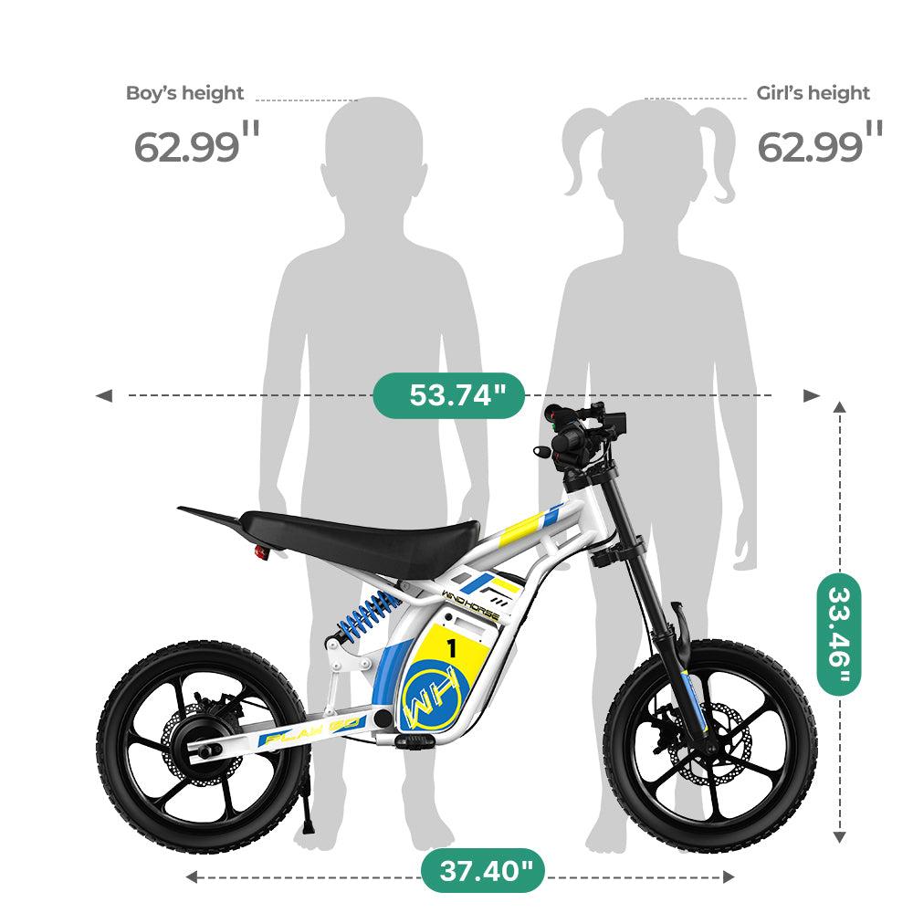 Wh P6 Bk Windhorse P6 Electric Dirt Bike - 250W 36V 10Ah - Black - Image 24